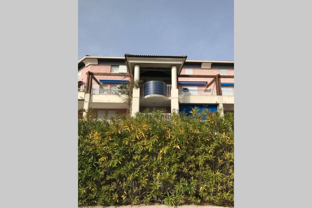 Magnifique Studio A 50M De La Plage De Cavaliere - Studio Tamarindo Le Lavandou Exteriör bild