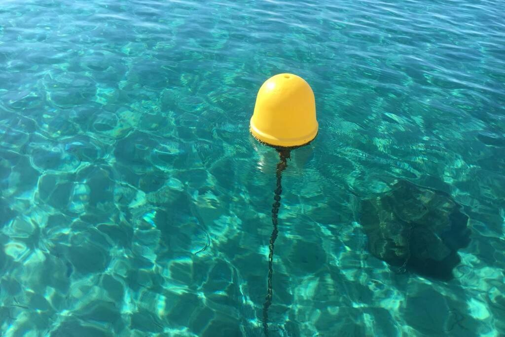 Magnifique Studio A 50M De La Plage De Cavaliere - Studio Tamarindo Le Lavandou Exteriör bild